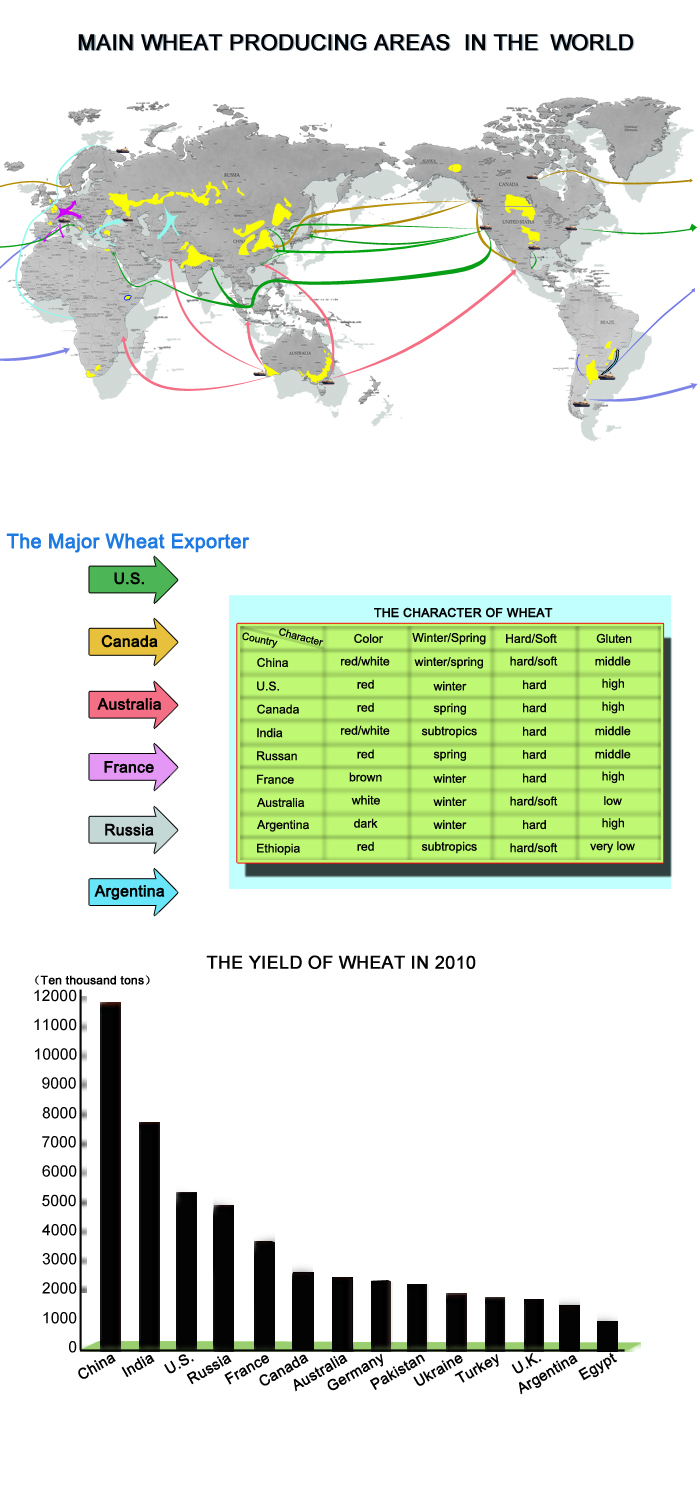 小麦主要产区