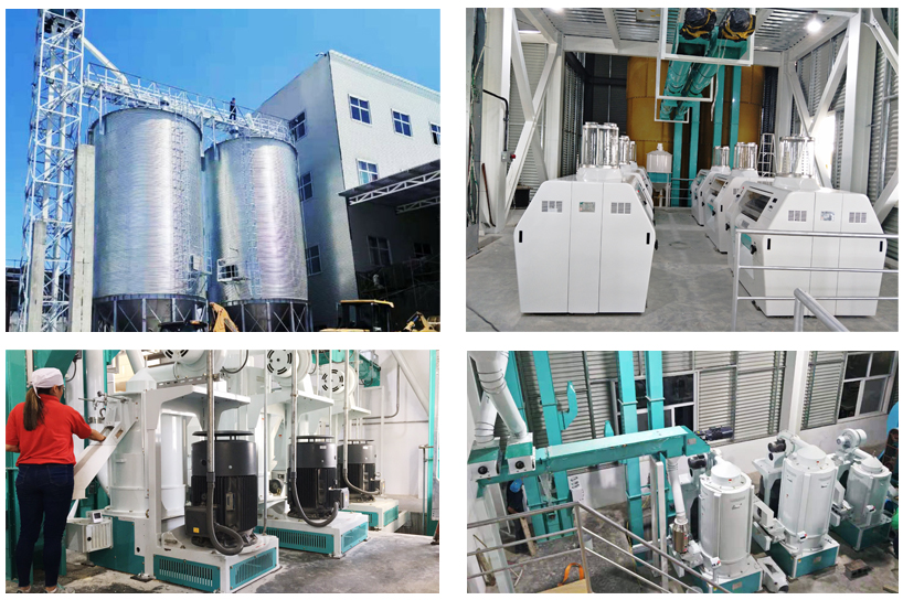 200T/24H wheat flour milling machine