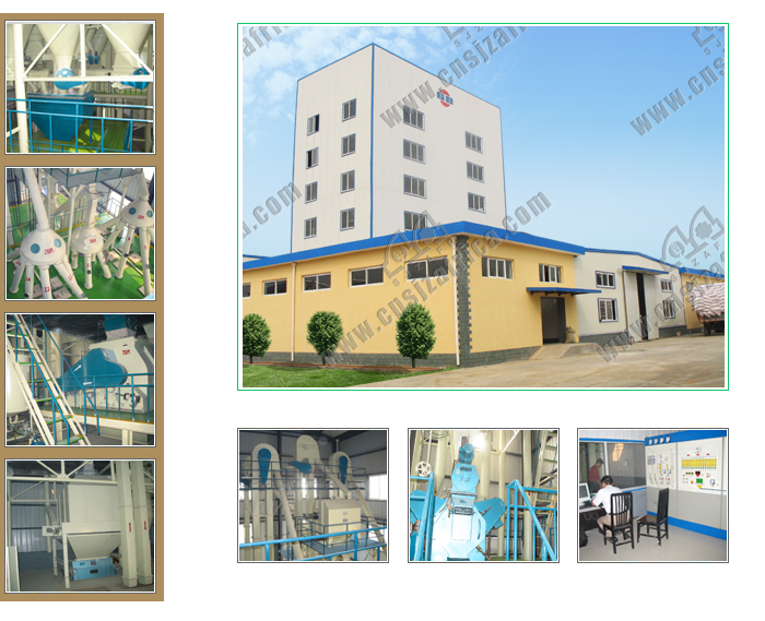 360T/24h Feed Plant