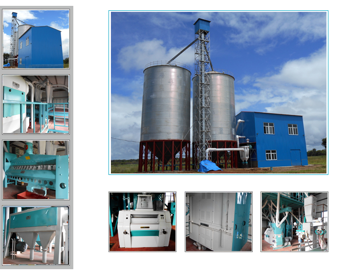 50T/24h Maize Milling Project