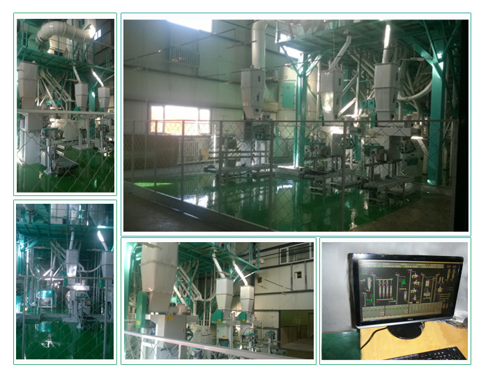 80T/24h Wheat Milling Project