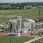 250T/24H Wheat Milling Project